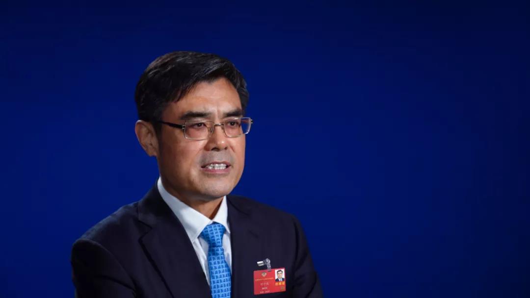 2020兩會訪談丨舒印彪縱談能源“十四五”