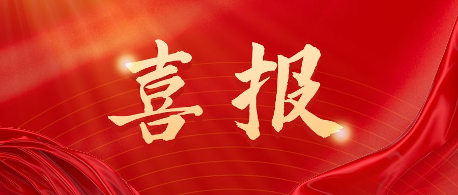 喜報！中國電力發(fā)展促進會榮獲民政部評定的“4A級全國性社會團體”