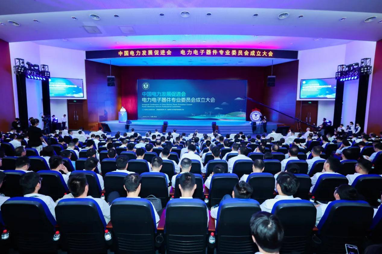 中國電力發(fā)展促進(jìn)會(huì)電力電子器件專業(yè)委員會(huì)成立大會(huì)在南京召開