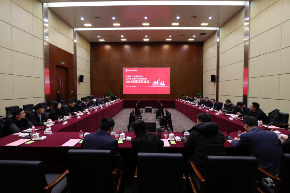 中國(guó)電力發(fā)展促進(jìn)會(huì)電力電子器件專(zhuān)委會(huì)2024年度工作會(huì)議成功召開(kāi)